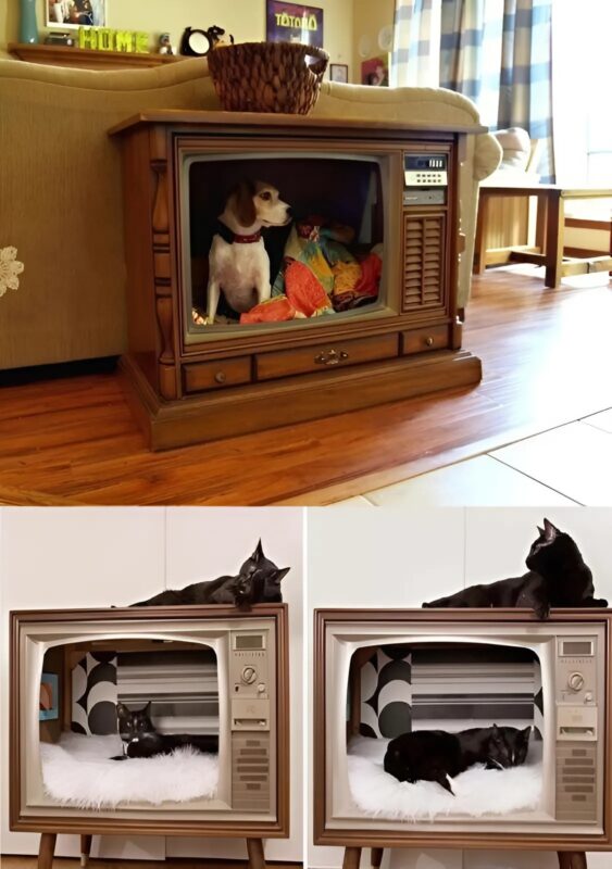 Comment Mon Père A Transformé La Vieille Télévision De Ma Grand-Mère En Un Élément Décoratif Pratique Et Élégant