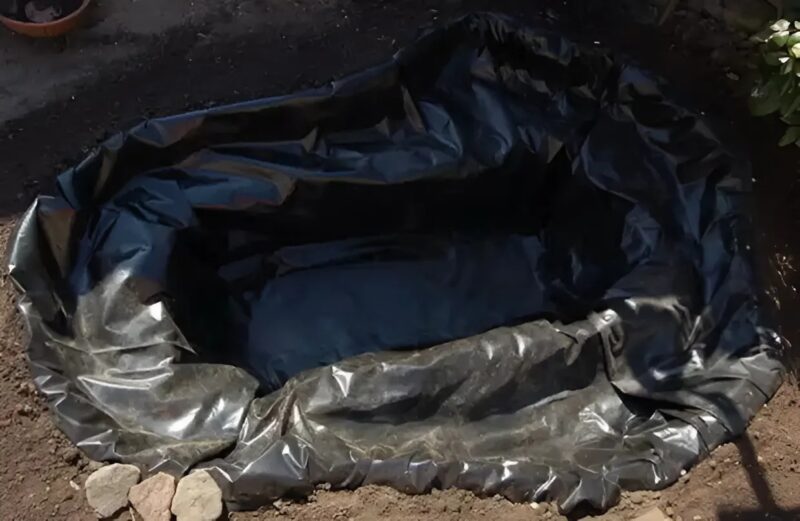 Mon oncle a transformé une vieille baignoire pour son jardin – Maintenant, tout le monde en veut une !