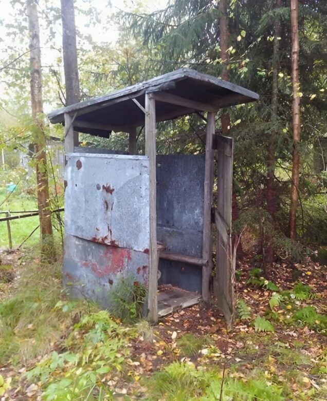 Une transformation incroyable ! Un homme a métamorphosé d’anciennes toilettes extérieures en une création époustouflante, laissant tout le monde sans voix