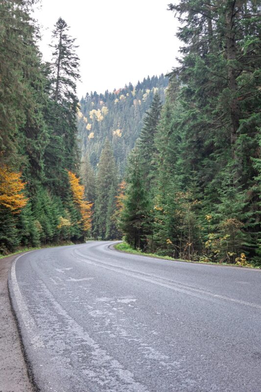 Sur la route, j’ai aperçu un ours emmêlé dans des filets, incapable de se libérer : je me suis arrêté pour l’aider, mais il s’est passé quelque chose d’inattendu