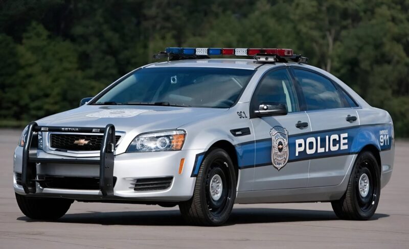 Les cerfs attaquaient furieusement la voiture de police, la frappant de leurs sabots et détruisant tout autour