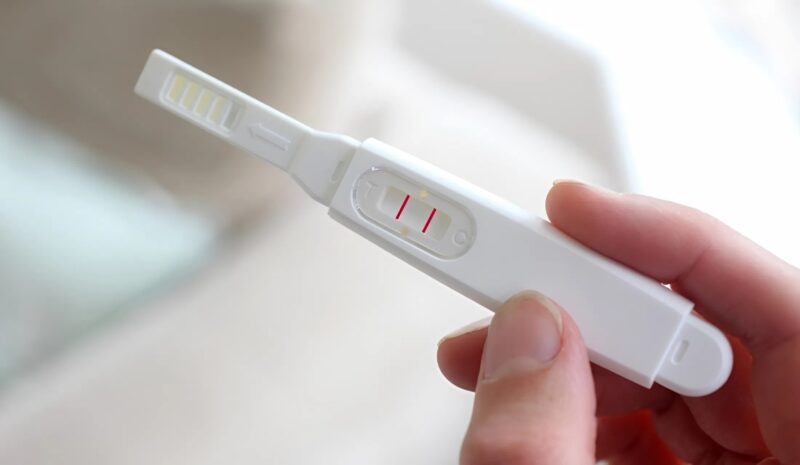 Une aide-soignante de 25 ans est tombée enceinte après six mois passés à s’occuper d’un homme de 70 ans. La fille, furieuse, a provoqué un scandale… mais soudain, un secret a été révélé, laissant tout le monde sous le choc