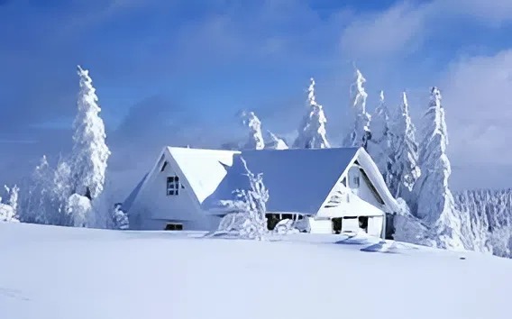 Pendant plusieurs jours, je n’ai pas réussi à joindre mes parents et, après six heures de route angoissante, remplie de peur pour leur sort, j’ai défoncé la porte de leur maison et je suis entré — ce qui m’attendait derrière le seuil m’a glacé le sang dans les veines